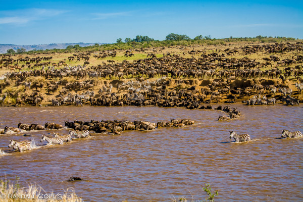 Kenya Maasai Mara Africa-19