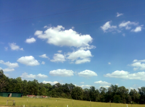 wp-1440770302435 image